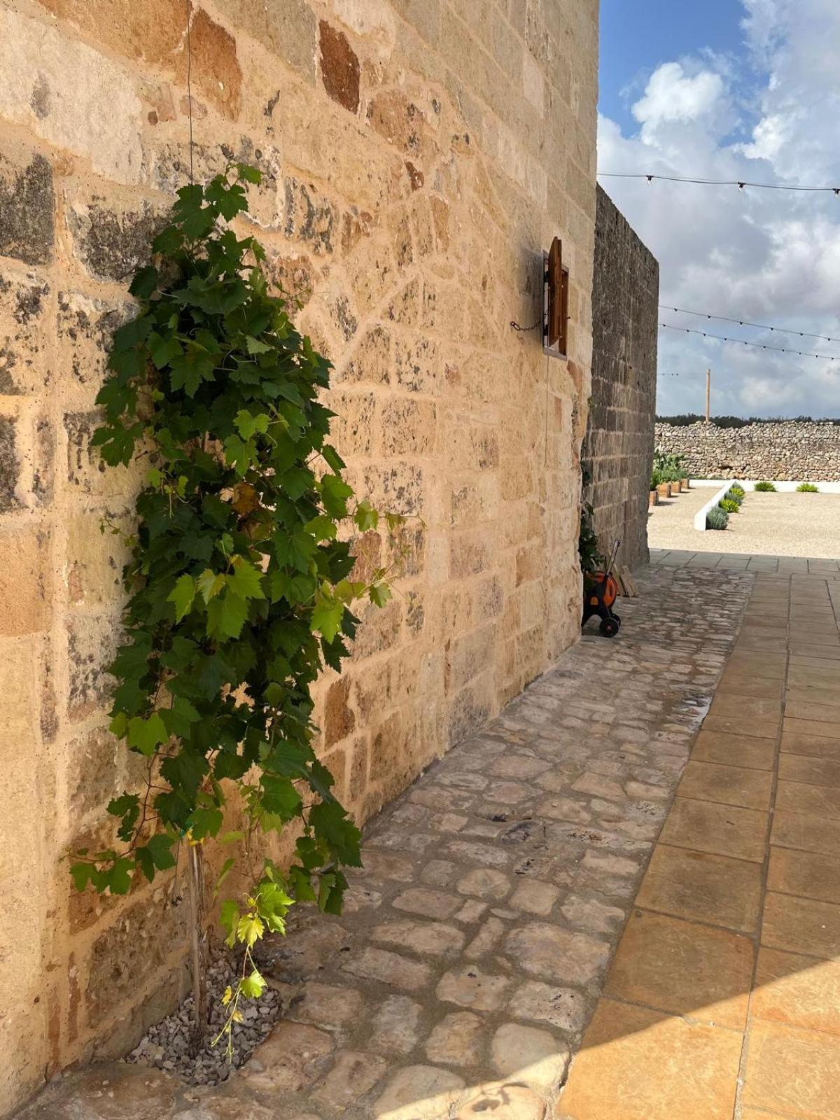 Masseria Voluzzi Copertino Dış mekan fotoğraf